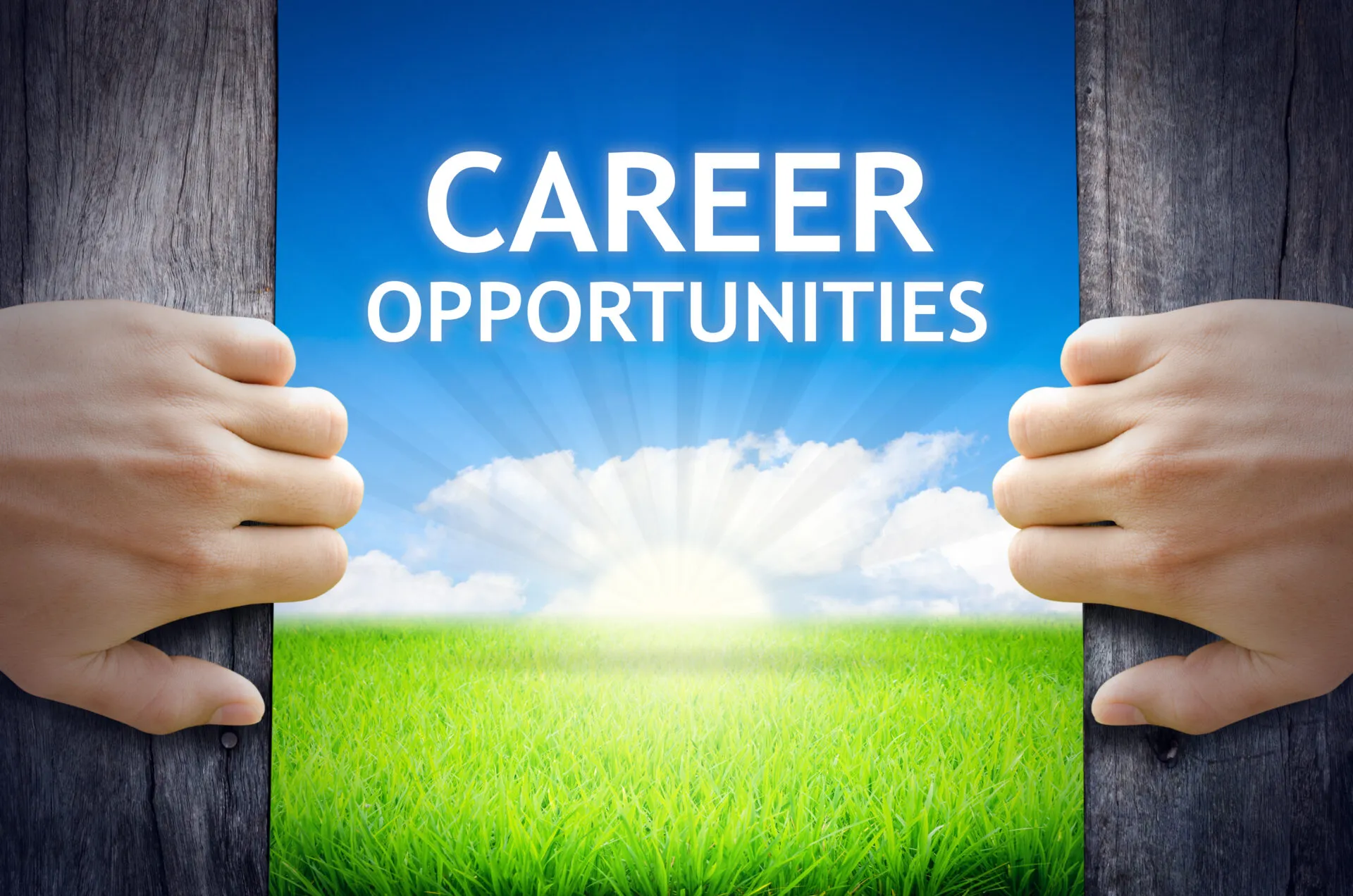 Career opportunities at New York County Lawyers Association, legal careers, job.