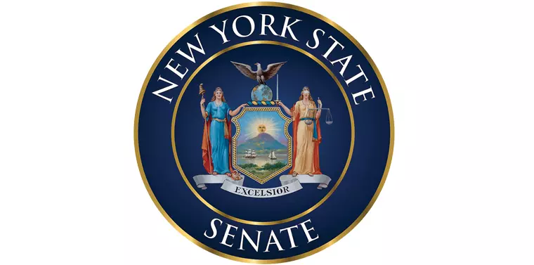 nystate senate logo