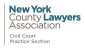Civil Court Practice Section Logo